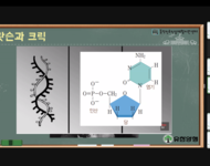 2023 [두드림버들과학진로캠프] 하반기 활동사진