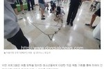 [동작뉴스] 동작구진로직업체험지원센터, '꿈모아다가온'